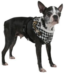 Houndstooth Harness