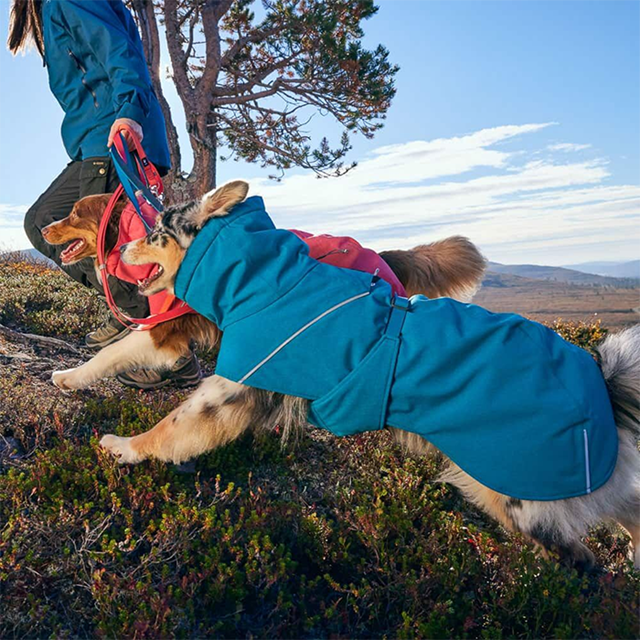 Hurtta Expedition Parka II Vintertäcke - Blackberry
