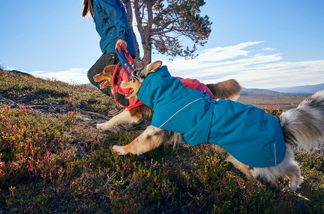 Hurtta Expedition Parka II Vintertäcke - Ocean