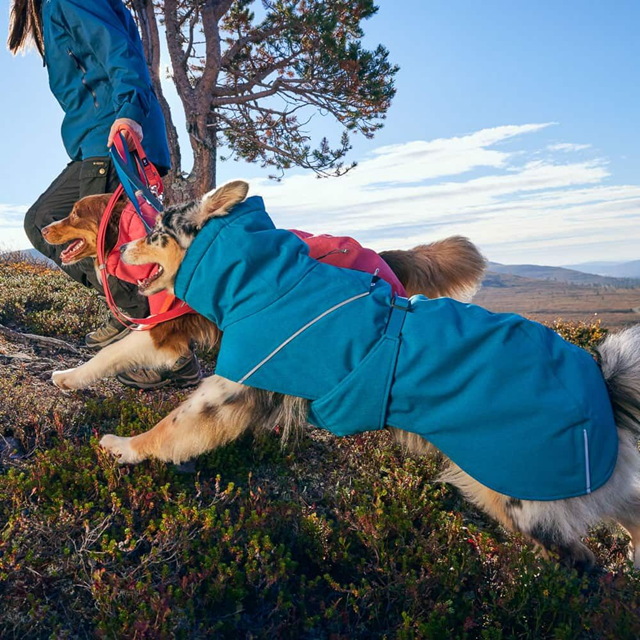 Hurtta Expedition Parka II Vintertäcke - Parsley