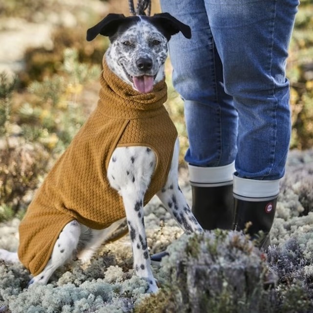 Hurtta ECO Warming Midlayer Desert - Hundtäcke
