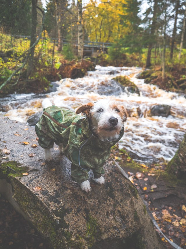 Downpour Suit Green Camo Regnoverall 45XS