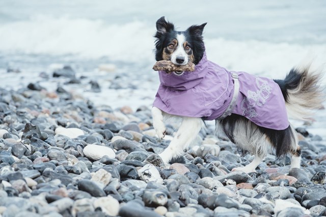 Drizzle Vinbär Regnjacka