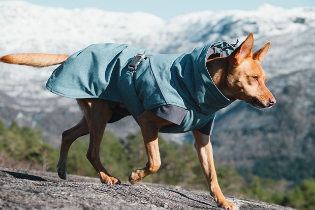 Expedition Parka Blåbär Vintertäcke