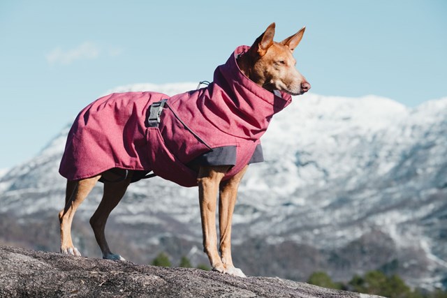 Expedition Parka Rödbeta Vintertäcke