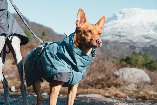 Expedition Parka Blåbär Vintertäcke