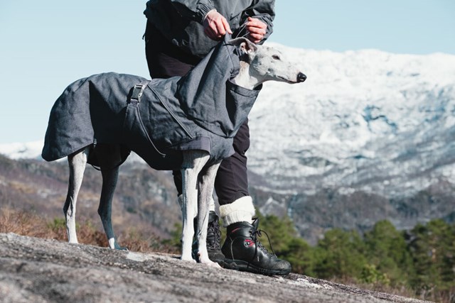 Expedition Parka Björnbär Vintertäcke