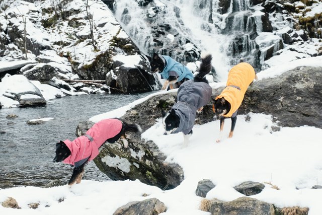 Expedition Parka Björnbär Vintertäcke