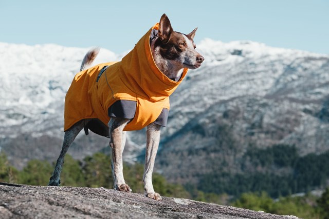 Expedition Parka Havtorn Vintertäcke
