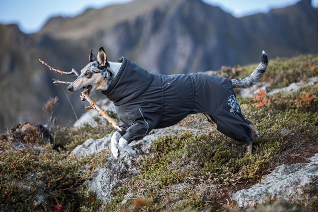 Extreme Overall Björnbär