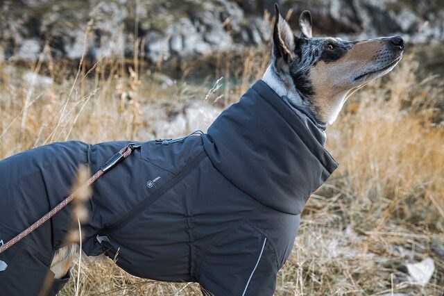 Extreme Overall Björnbär