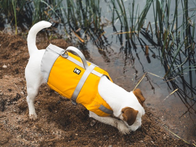 Hurtta Life Savior Hundflytväst Orange
