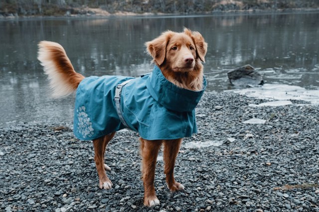 Monsoon Regntäcke Blåbär