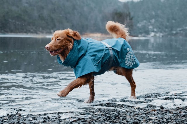 Monsoon Regntäcke Blåbär