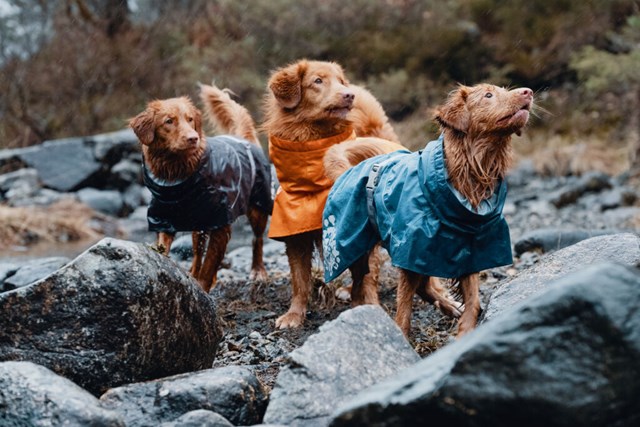 Monsoon Regntäcke Blåbär