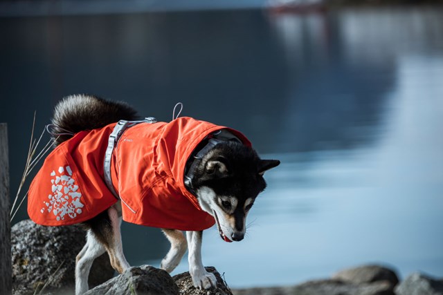 Monsoon ECO Nypon Regntäcke