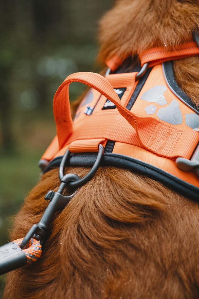 Hurtta Weekend Warrior Sele Neon Orange