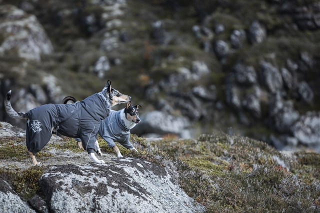 Extreme Overall Björnbär