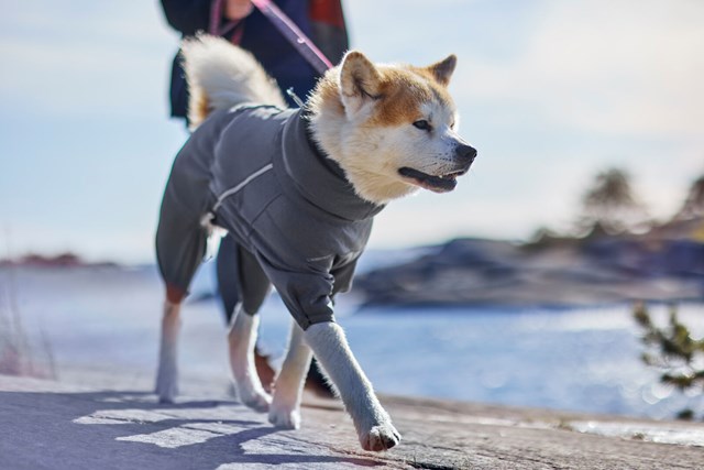 Midlayer Overall - Björnbär