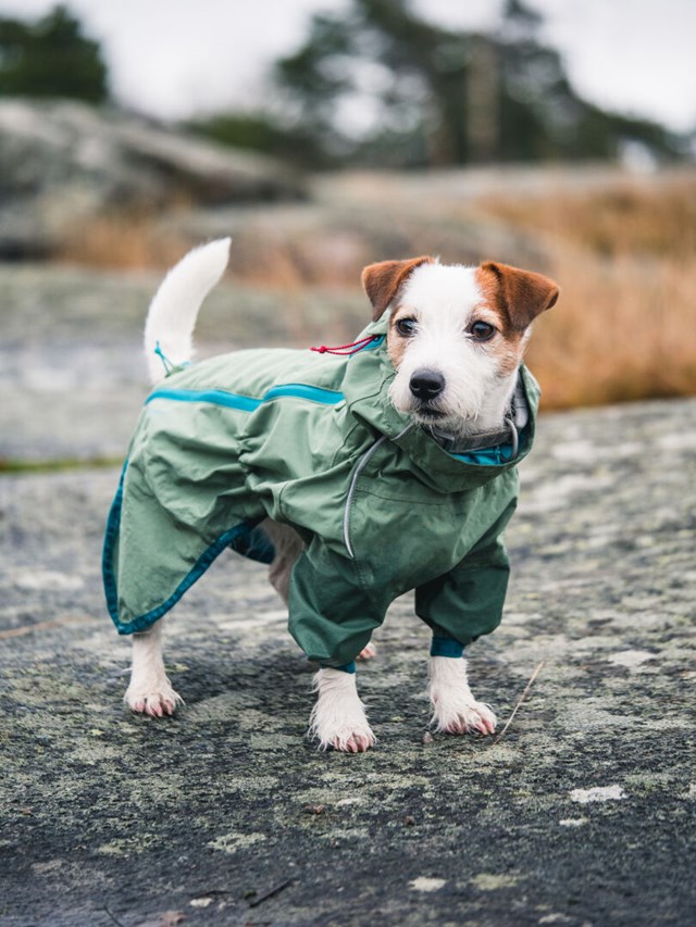 Rain Blocker Regntäcke - Buske