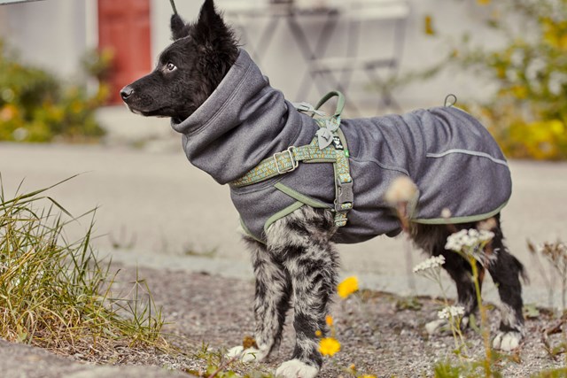 RAZZLE-DAZZLE MIDLAYER - Vändbar Fleecejacka Björnbär