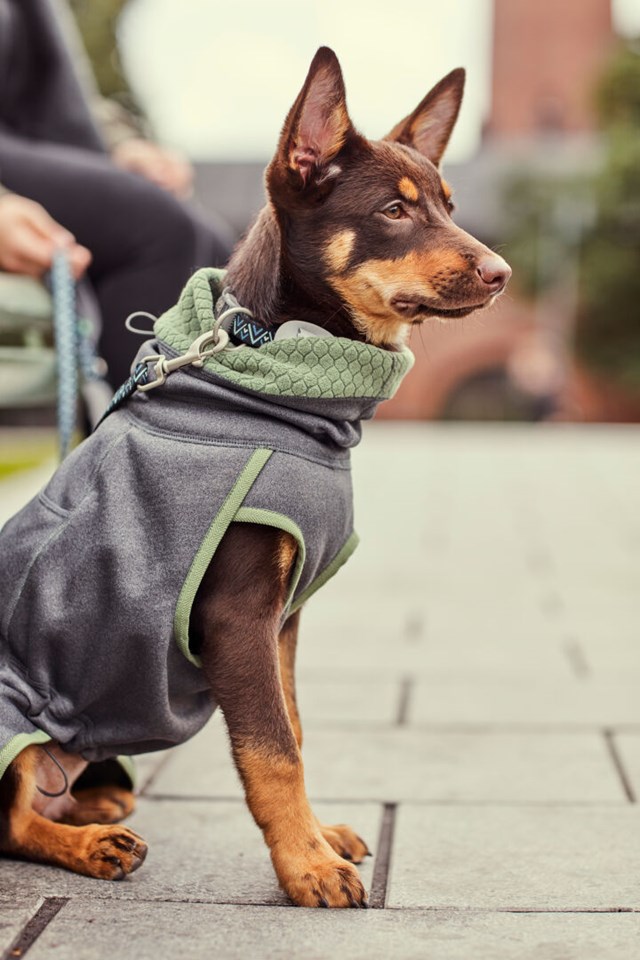 RAZZLE-DAZZLE MIDLAYER - Vändbar Fleecejacka Björnbär