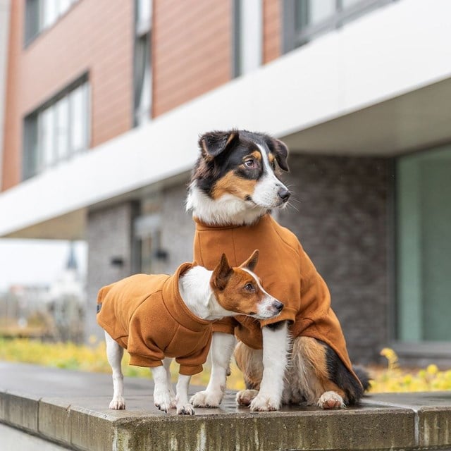 CityStyle Amsterdam Sweatshirt Hundtröja - Rostbrun