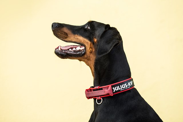 Julius K9 SuperGrip Halsband Röd