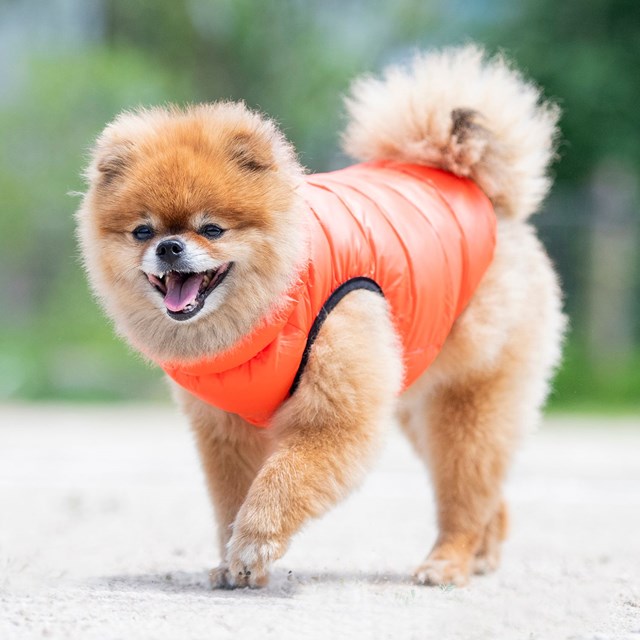 Ultra Light Vest B Orange Hundtäcke