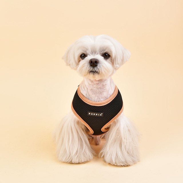 Soft Vest II Svart - Hundsele