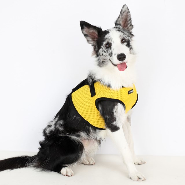 SOFT VEST Yellow - Hundsele