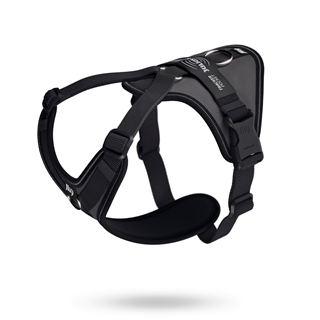 K9 Longwalk Light - Antracit