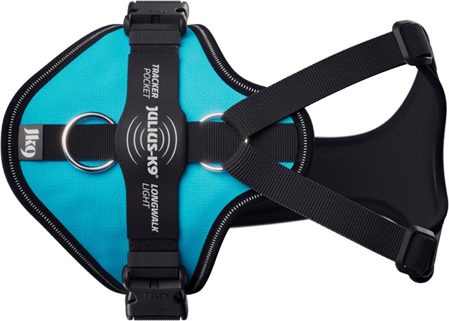 K9 Longwalk Light - Aquamarine