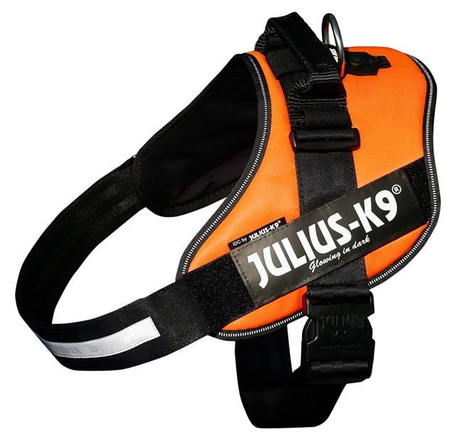 K9 IDC Hundsele UV Orange