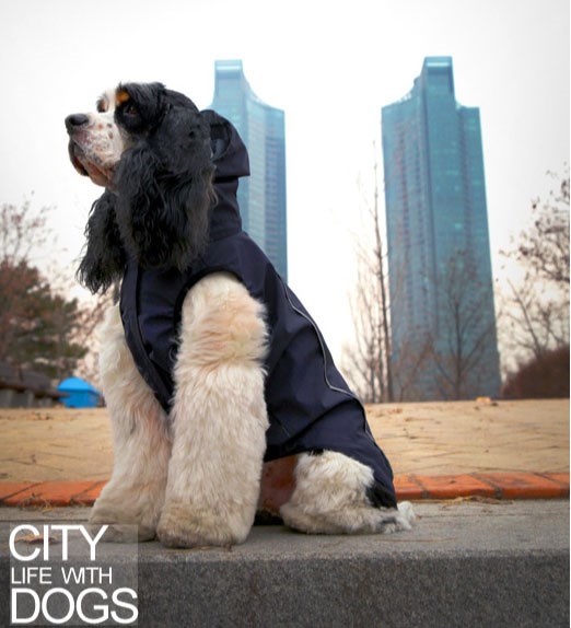 BIMANE OUTDOOR Vest Classic - Navy