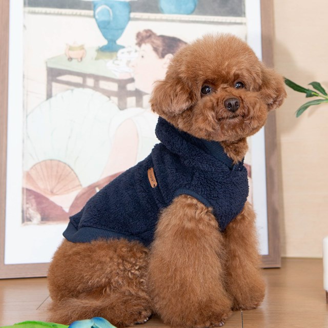 Lottie Hoodie - Navy