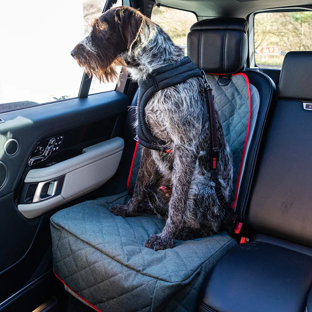 KONG Single Seat Cover Bilskydd