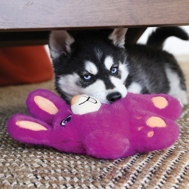 Kong Snuzzles Koala