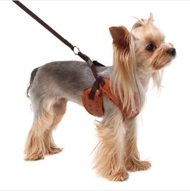 PA Ostrich FASTENY HARNESS Brown