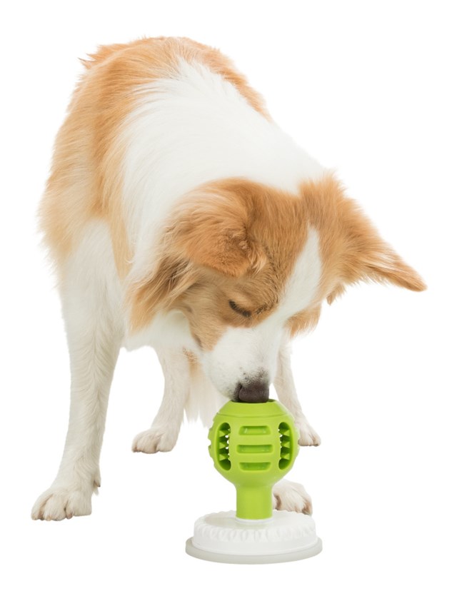 Lick 'n' Snack Boll Med Sugkopp