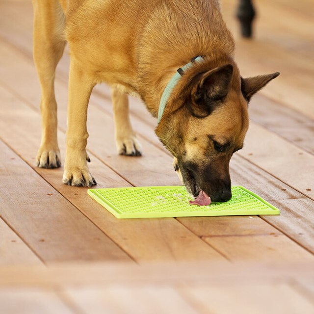 Lickimat Buddy Hundskål/Slickmatta Orange 30,5 x 25,5 cm