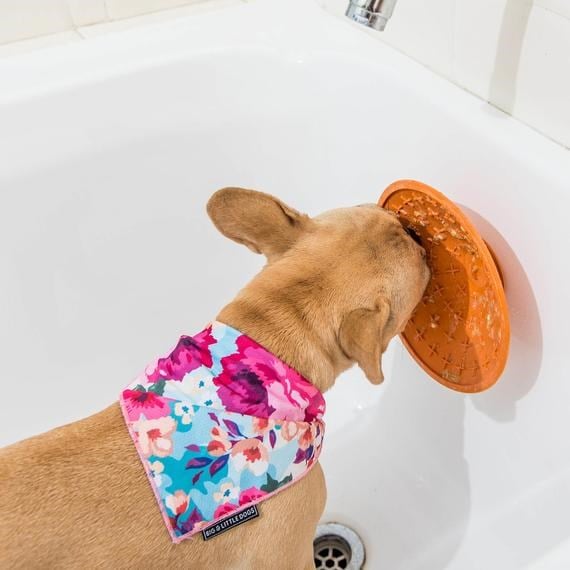 LickiMat Splash Ljusblå Hundskål Med Sugkopp