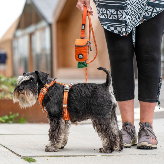 Comfort Walk Air 3.0 Harness Purple Passion