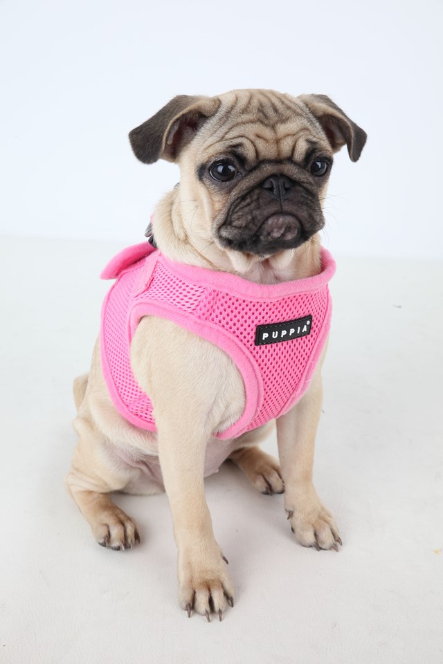 SOFT VEST Pink - Hundsele