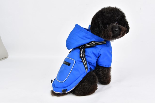 Mallory Royal Blue - Hundtäcke med Integrerad Sele
