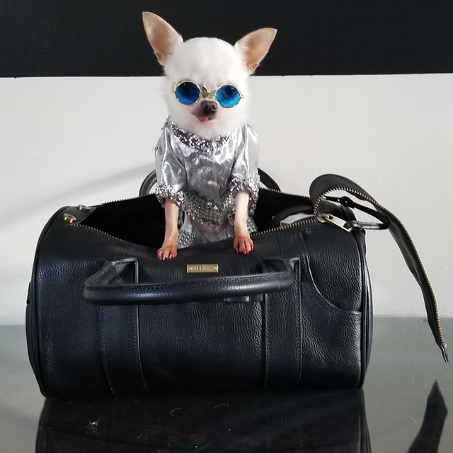 MERÏKH Hundväska Läder - Svart