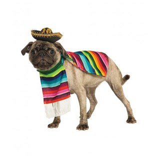 Mexikansk Hunddräkt