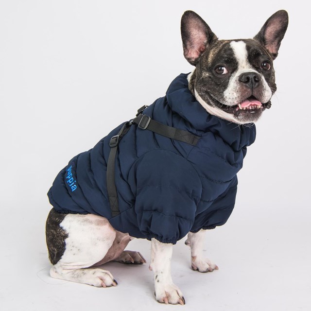 Soft Jumper Navy Hundtäcke Med Integrerad Sele