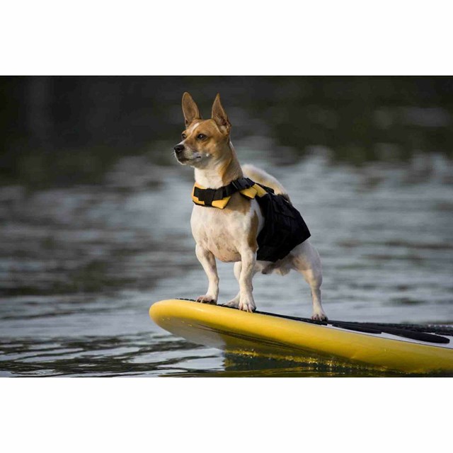 Ezydog Flytväst Micro - Röd