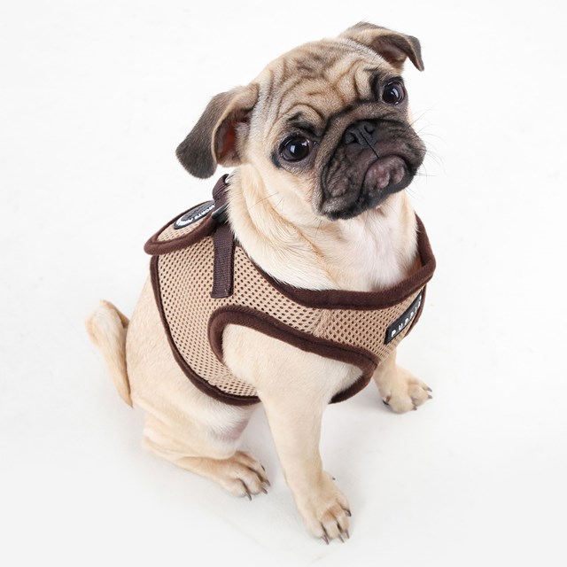 SOFT VEST Beige - Hundsele